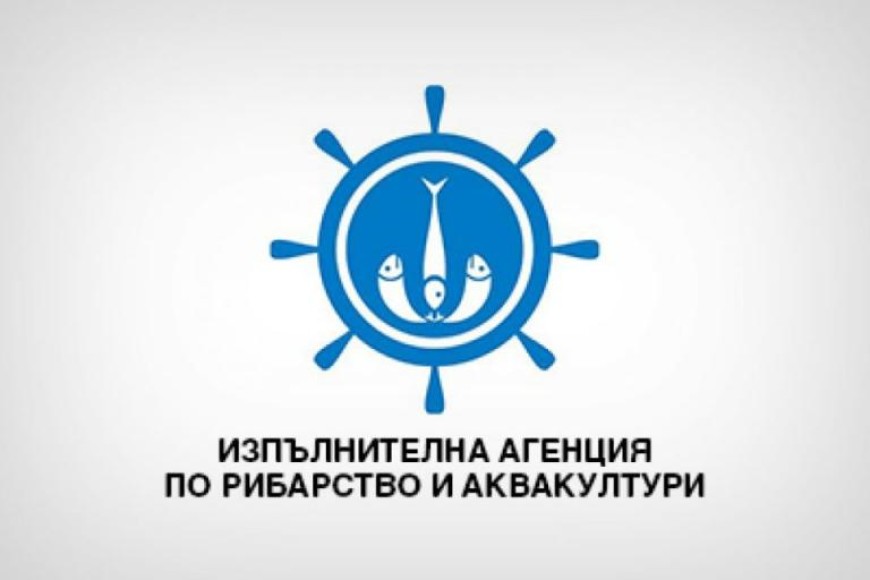 Риболовният билет ще се заявява онлайн