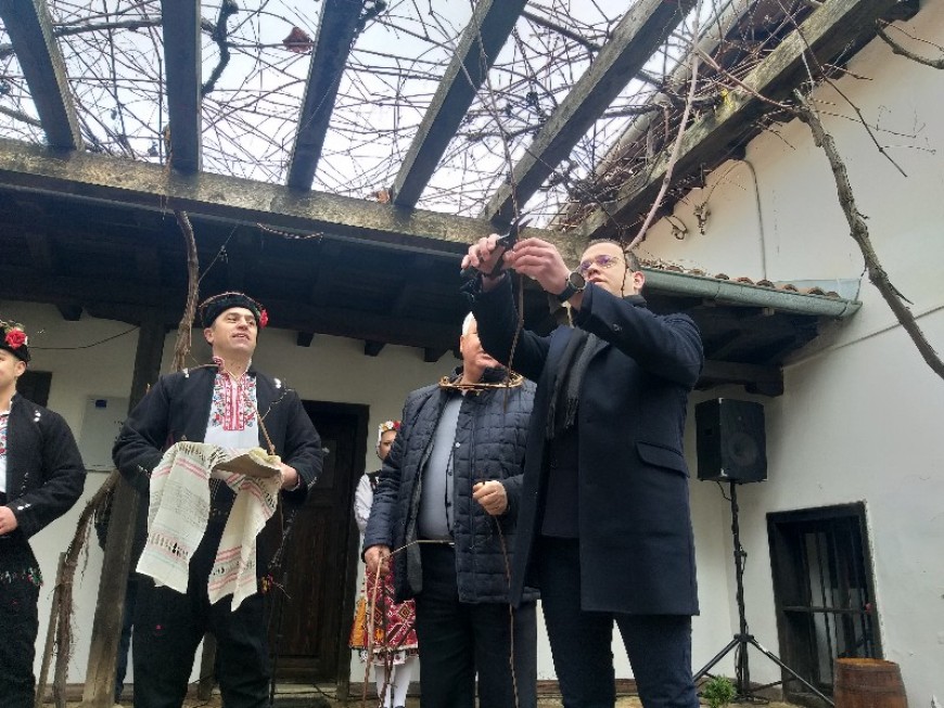 Кметът на Добрич заряза лозата на празника на виното в Етнографската къща