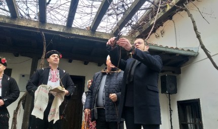 Кметът на Добрич заряза лозата на празника на виното в Етнографската къща