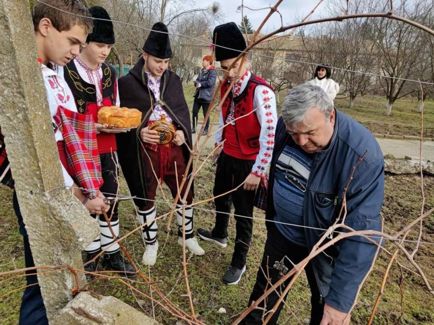 С традиционен ритуал по зарязване на лозата ученици от Аграрната гимназия в Добрич отбелязаха празника на виното 