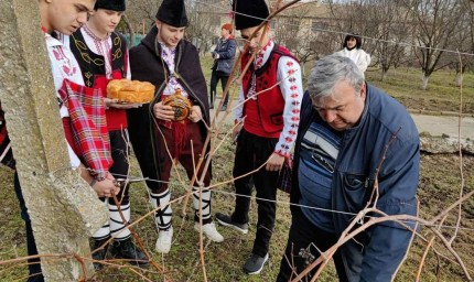 С традиционен ритуал по зарязване на лозата ученици от Аграрната гимназия в Добрич отбелязаха празника на виното 