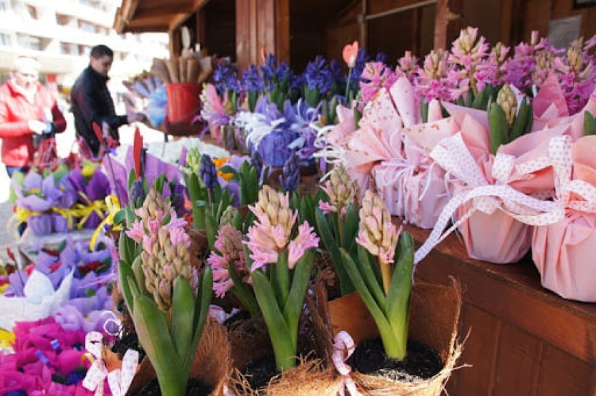 Община град Добрич организира базар „Цветя 2022“