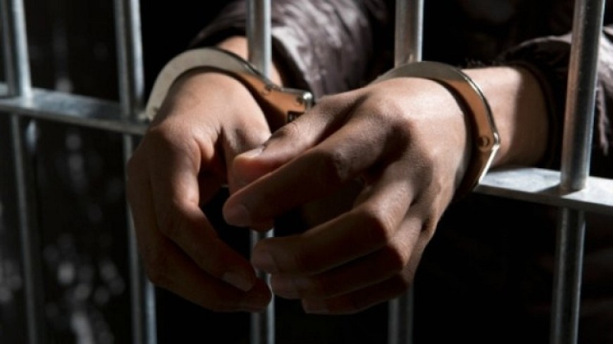 Полицията задържа извършителя на кражба от животновъден обект в с. Телериг