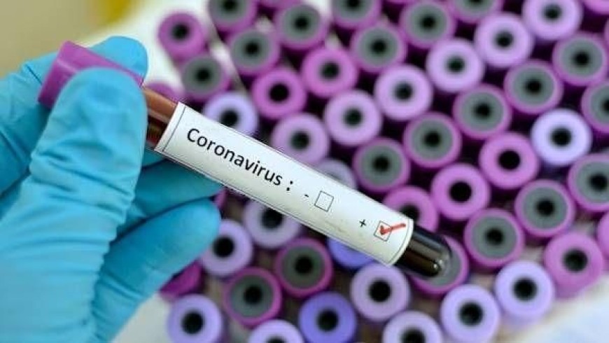 66 са новите случаи на Ковид-19 в област Добрич 