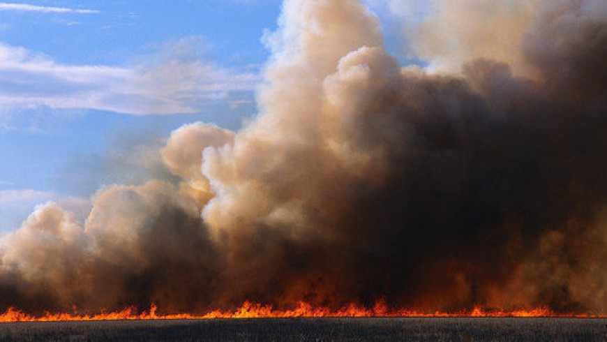 Пожар горя в района на Дуранкулашкото езеро