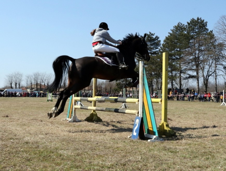 Село Кардам прие 28 елитни коне в първия за годината турнир по конен спорт в областта