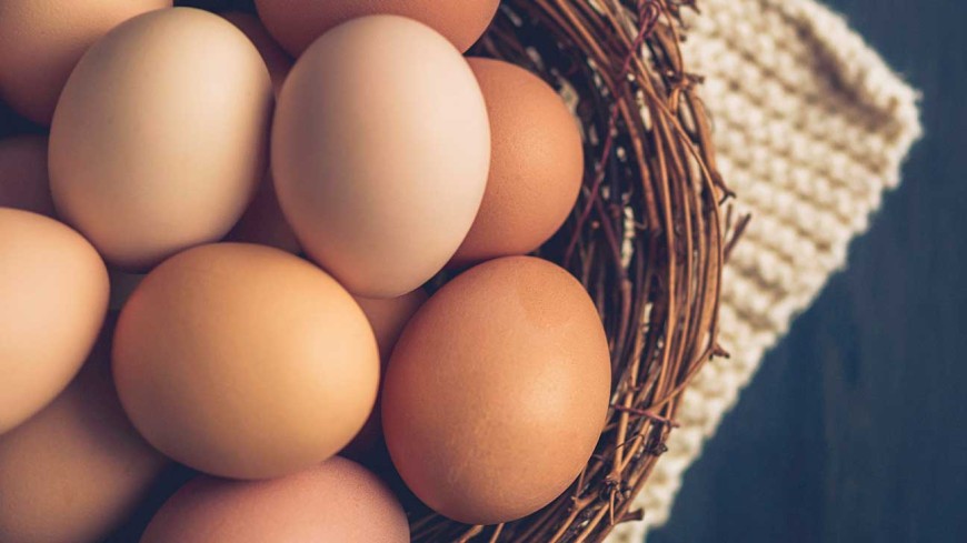 НАП обяви, че денонощно наблюдава производителите на яйца и агнешко