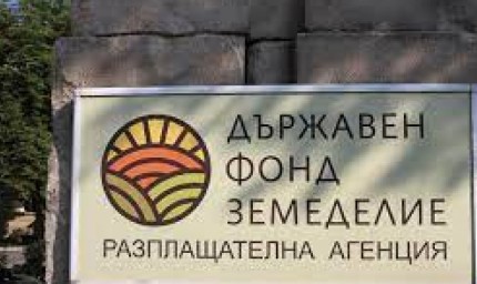 ДФЗ утвърди финансовия ресурс в размер на 143,5 млн. лева по Ковид помощта