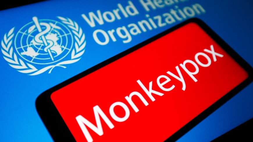 909 случая на зараза с маймунска шарка са потвърдени в 29 страни по света