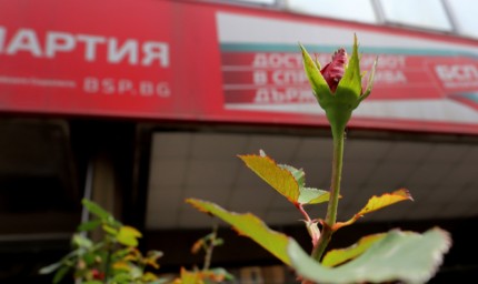 10 нови членове прие младежката организация на БСП в Добрич
