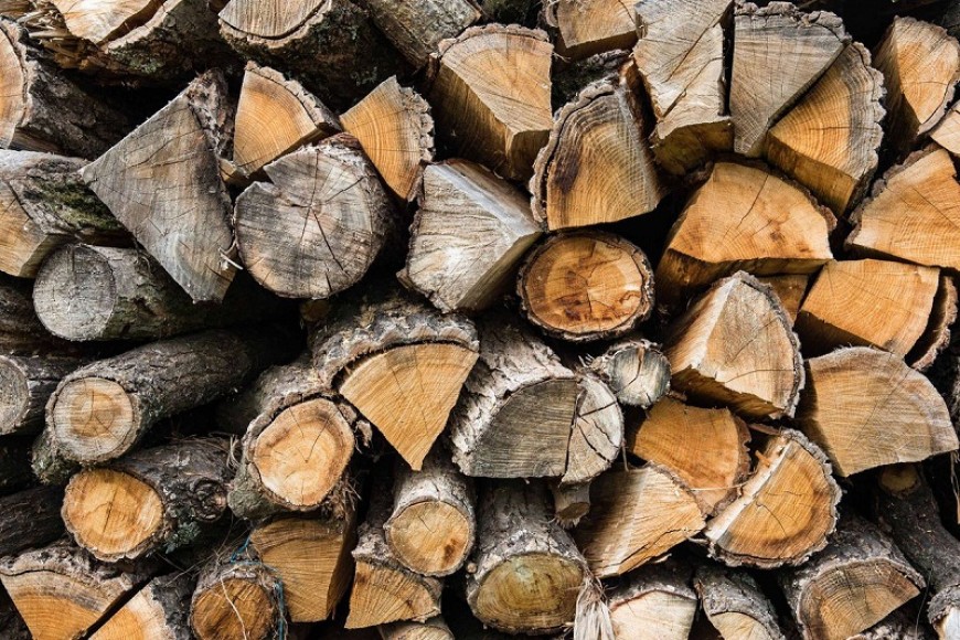10 472 домакинства от Североизточна България вече са получили заявените от тях дърва за отоплителен сезон 2022/2023