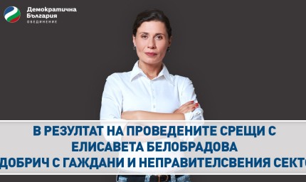 Резултатите от разговорите на Елисавета Белобрадова с институции