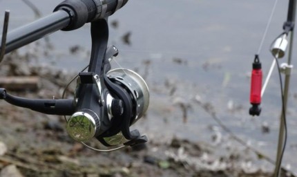 За 5 години забраняват улова на хищна риба в Черно море и реките