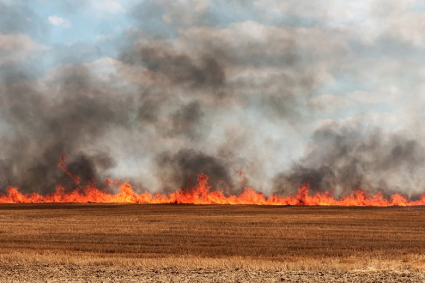 Пожар изпепели 200 декара пшеница край с. Карвуна