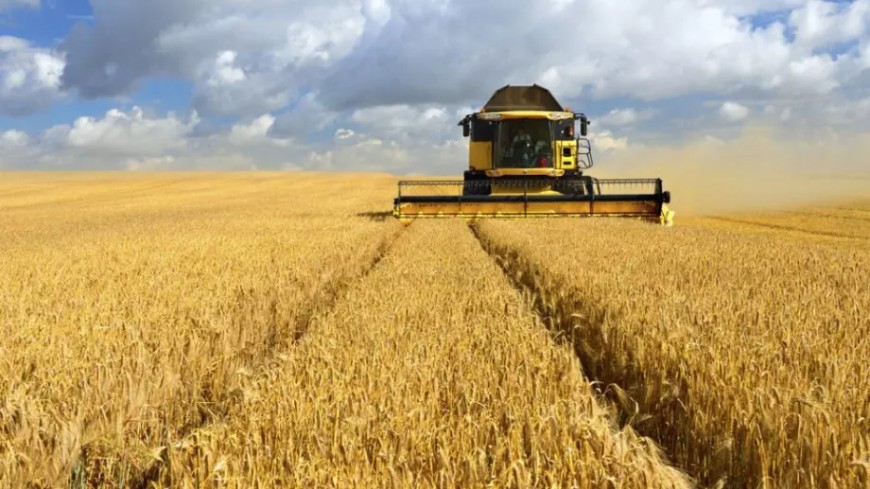 Земеделци и фермери планират протести заради вноса на украинско зърно в България