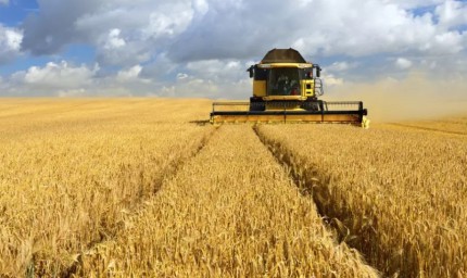 Земеделци и фермери планират протести заради вноса на украинско зърно в България