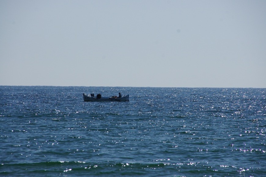 ИАРА ще изследва запасите на черноморски видове риби и рапан 