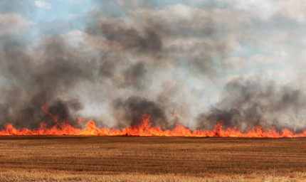 Пожар на сухи треви стигна до двора на болницата в Каварна