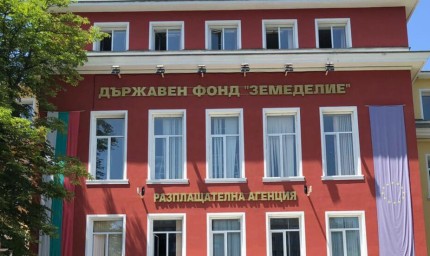 До 18 октомври свиневъдите подават документи за подпомагане по трети транш за прасета за угояване