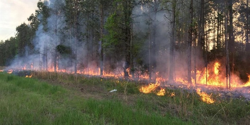 Съобщение във връзка със зачестилите пожари в земеделски земи и горски територии