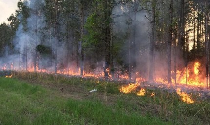 Съобщение във връзка със зачестилите пожари в земеделски земи и горски територии