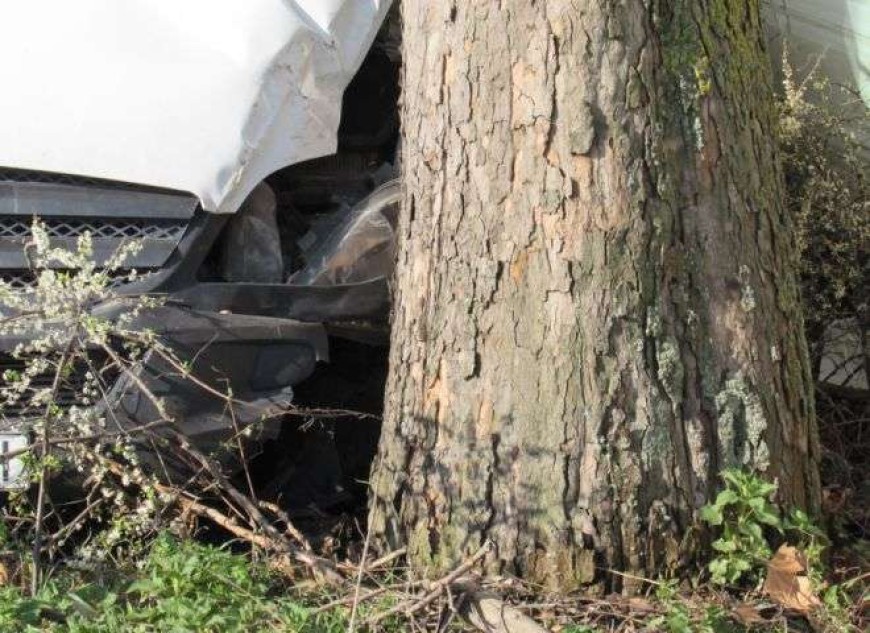 Шофьор се удря в крайпътно дърво край Пчеларово поради висока скорост