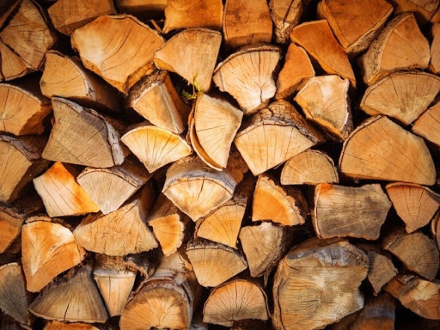 3142 домакинства в Добрич вече имат 15 655 кубика дърва
