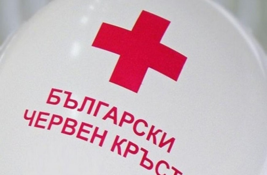 Международен ден на доброволеца  