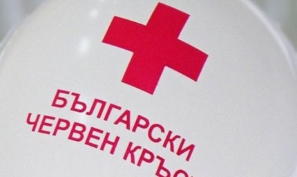 Международен ден на доброволеца  