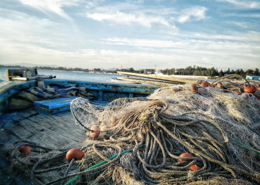 Над 1,8 млн. лева изплати ДФ „Земеделие“  по Програмата за морско дело и рибарство 2014–2020