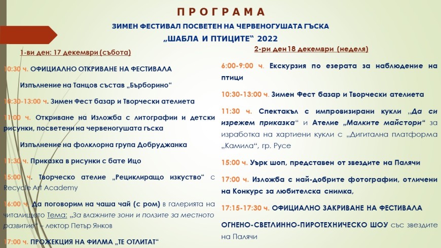 Зимен фестивал, посветен на червеногушата гъска, ще се проведе почивните дни в Шабла