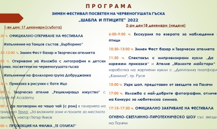 Зимен фестивал, посветен на червеногушата гъска, ще се проведе почивните дни в Шабла