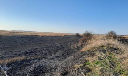 Над 30 декара тръстика изгоряха за два дни край Шабленското езеро