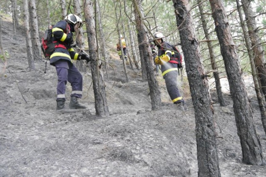 Над 70 пожара са регистрирани в горите на Североизтока през 2022г.