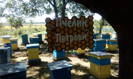 Днес празнуват пчеларите