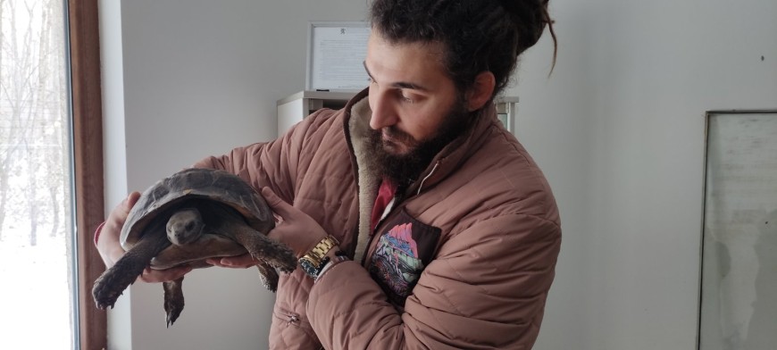 Костенурка рекордьор отглеждат в Центъра за защита на природата и животните в Добрич