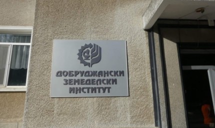 Трудна реализация на селскостопанската продукция отчитат от „Асоциацията на българските зърнопроизводители 2006“