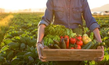 Започва прием по схемата за застраховане на селскостопанска продукция