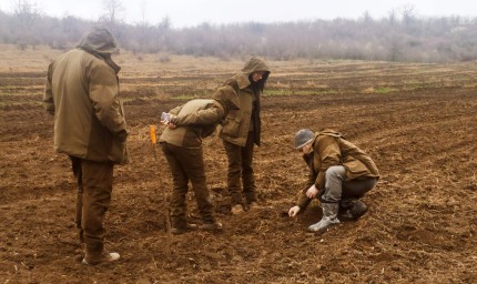 Създават нови гори  на територията  на горските стопанства в областта