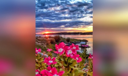 Симона Петкова е на първо място в Младежки онлайн фотоконкурс  „Щракни времето“ 3