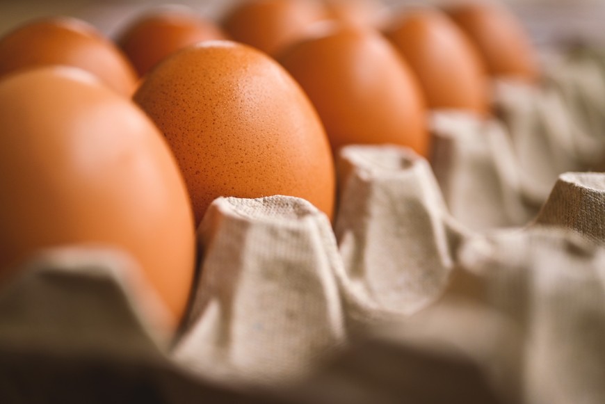 Над 2 млн. яйца са внесени за 10 дни у нас от Украйна и Латвия