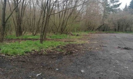 Горското стопанство в Добрич почисти „Кобаклъка“