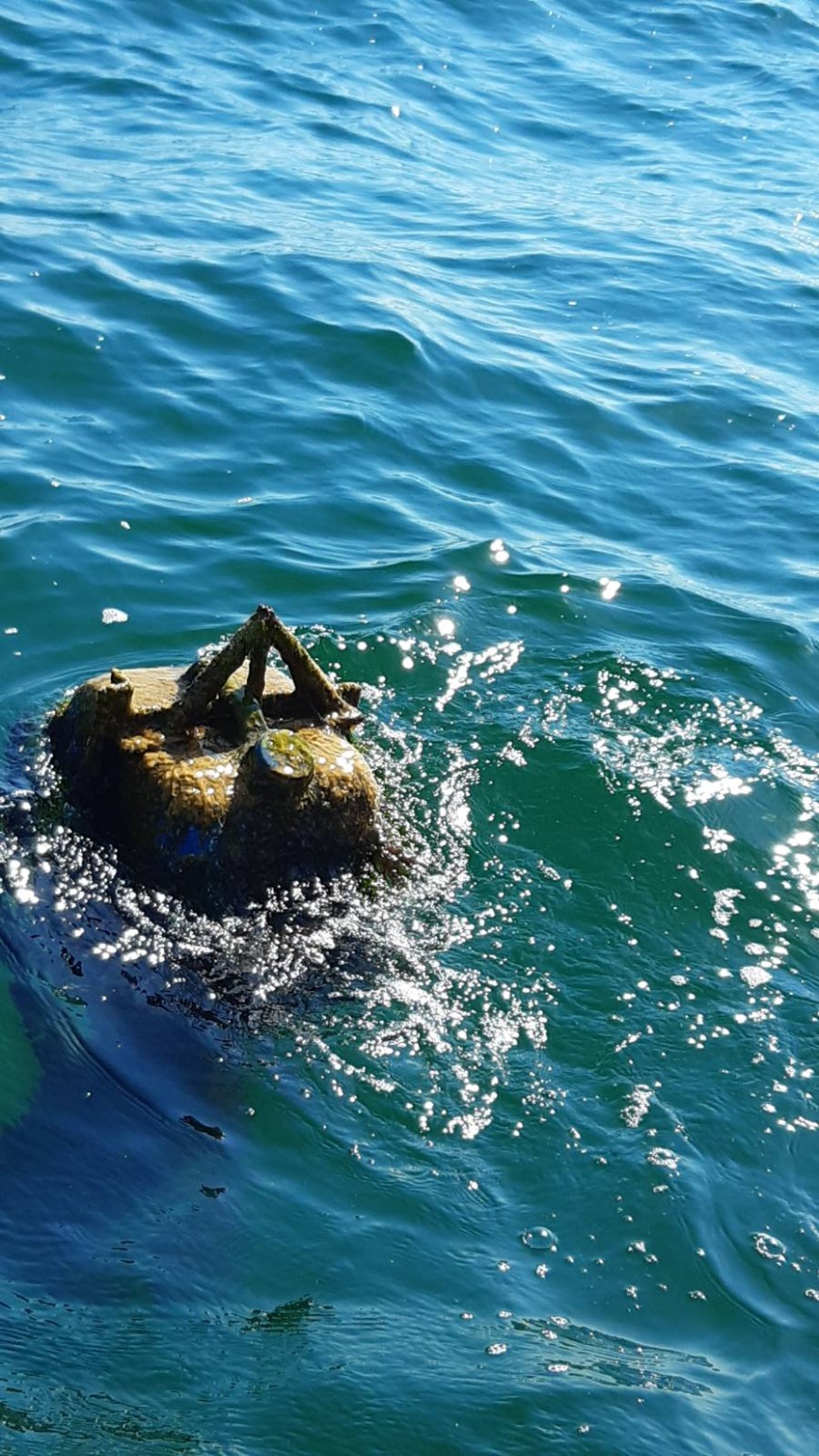 ВМС провери съмнителен предмет, плаващ на около 700 метра от брега край Дълбока