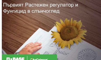 БАСФ представя първия растежен регулатор и фунгицид в слънчогледа - Архитект®