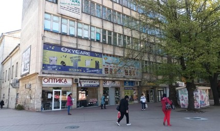 Шест локации за подписката за запазване на дърветата в центъра на Добрич 