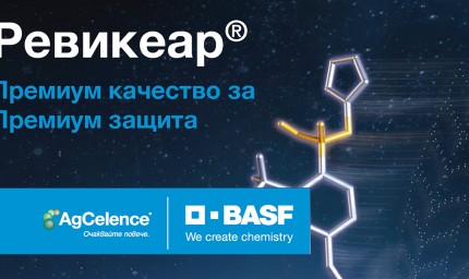 Ревикеар – Фунгицидът за премиум опазване на флаговия лист и класа в житни култури