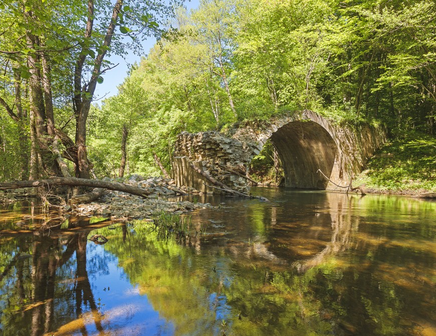 28 май - Ден на парковете в България