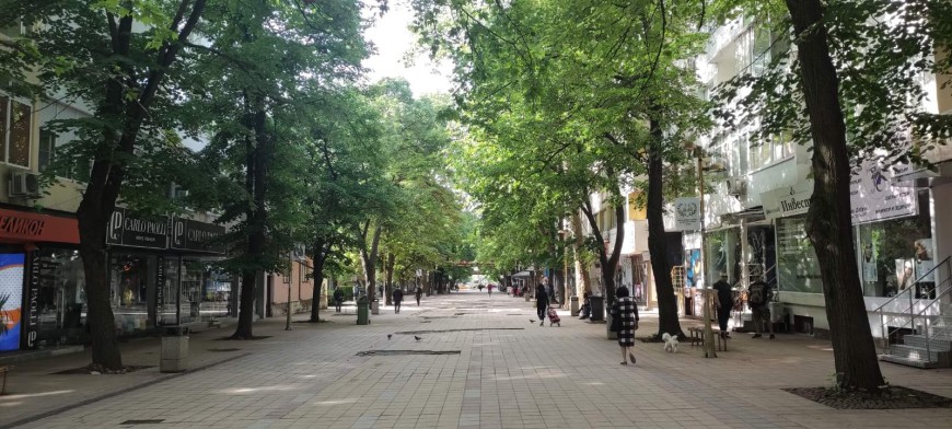 Съдбата на дърветата по центъра попадна отново в дискусията на общинските съветници на Добрич