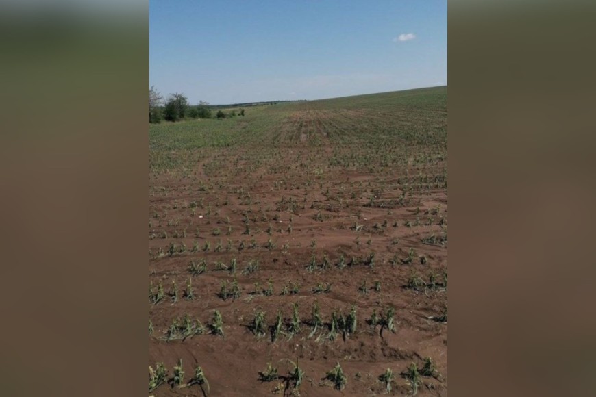Кооперацията в село Лясково с огромни щети от падналата градушка в събота