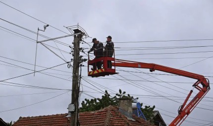 Гнездото на щъркелите Драга и Драго падна заради проливните дъждове